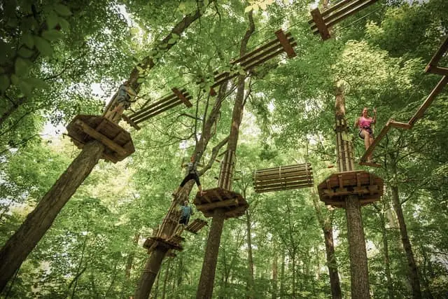 Go Ape Zipline Adventure Park — sweet 16 party idea