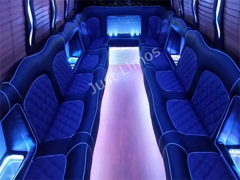 Raven Washington DC party bus rental for Capitol Hill group outings — 30-32 passengers