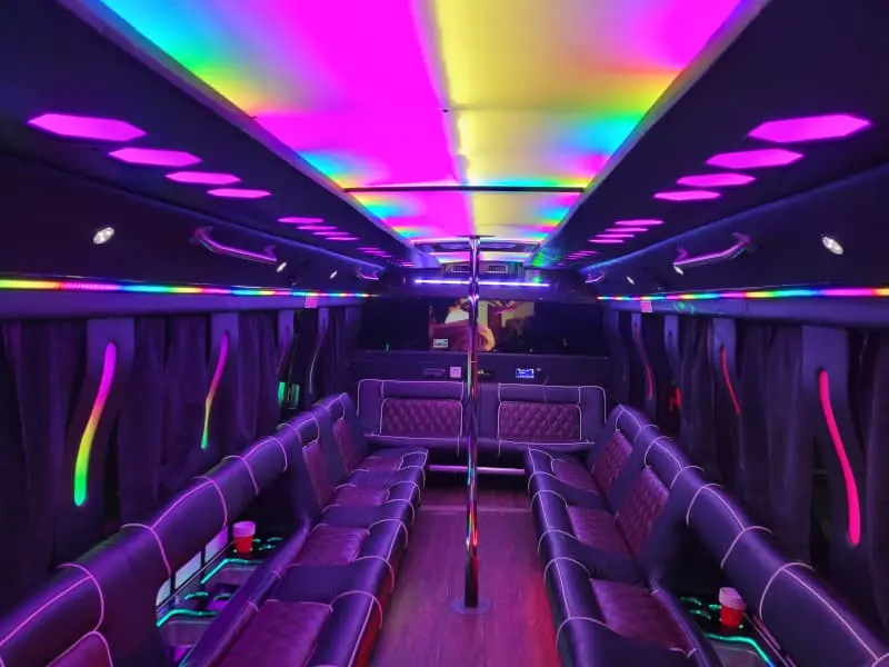 Storm Washington DC party bus for large Capitol Hill groups — 27-29 passengers