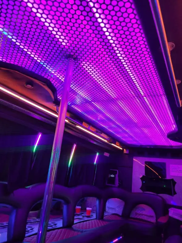 Tsunami party bus in Washington DC for Capitol Hill events — 28-30 passengers