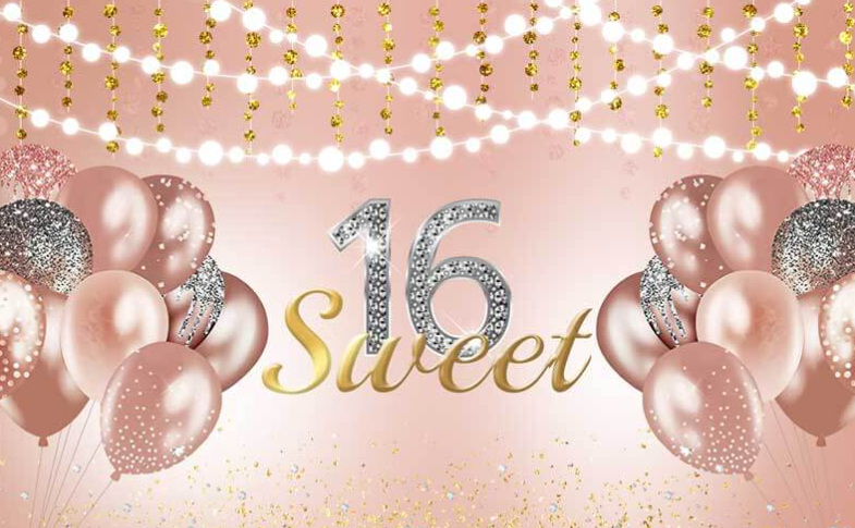 Sweet 16 — party bus & limo rental