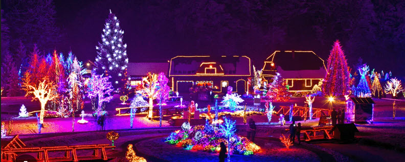 Christmas Lights Tour — party bus & limo rental