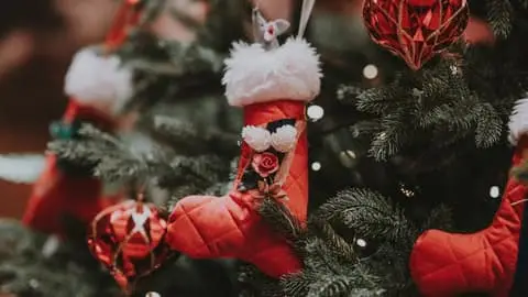 Holiday Lights Tour