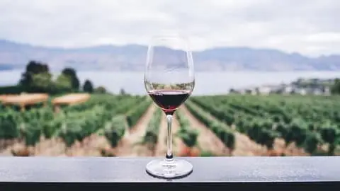 Virginia Wineries