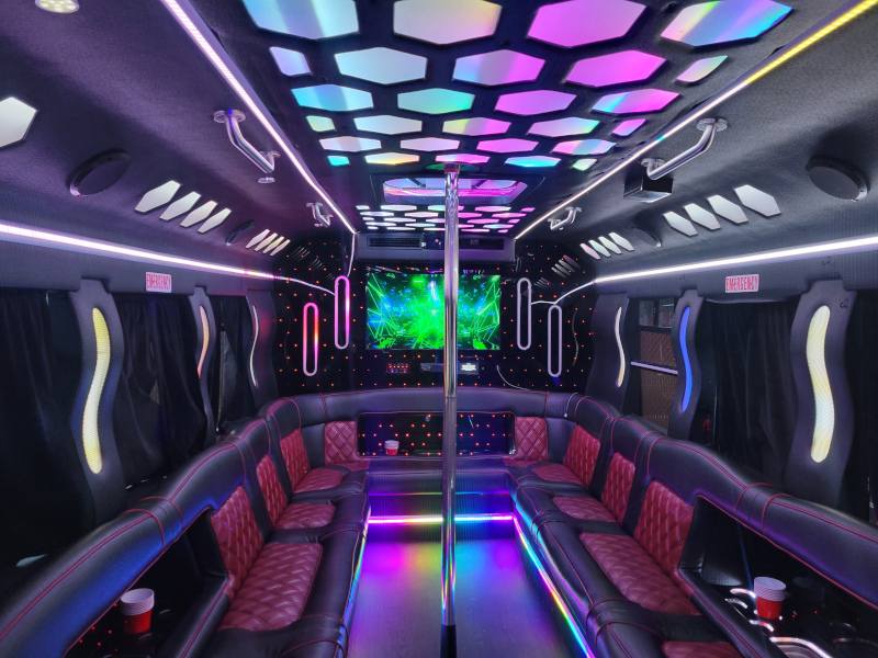 20–22 Pax Wildfire Party Bus interior